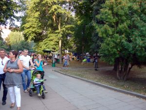 Famlien feiern im Park