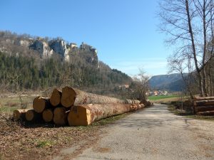 Donau oberhalb von Sigmaringen