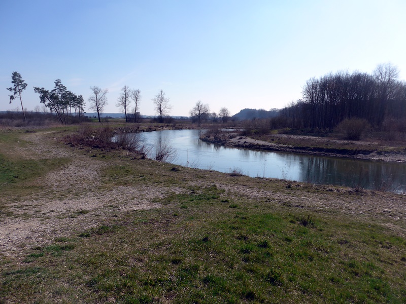 natürlich fließende Donau bei Riedlingen